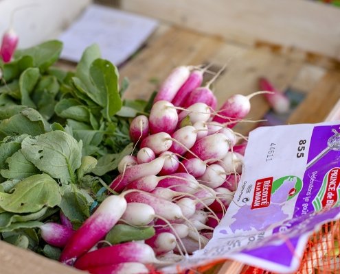 Colourful French local market vegetables