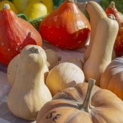 French local market vegetables