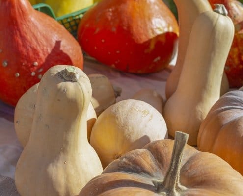French local market vegetables