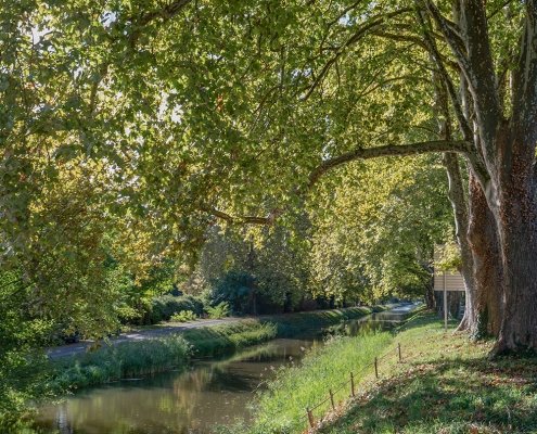 Riverbank walk in the Dordogne