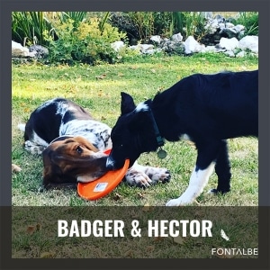 Badger and friend, Hector