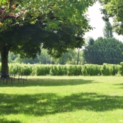 Wine tours in the Dordogne