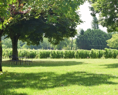 Wine tours in the Dordogne