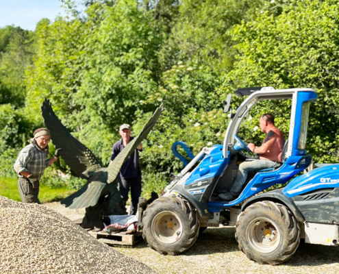Using a digger to prepare petanque court