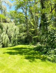 Fontalbe garden Beautiful green garden at the Dordogne gite