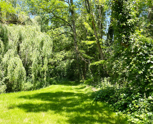 Fontalbe garden Beautiful green garden at the Dordogne gite