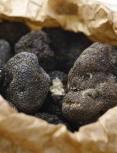 Collected truffles in a paper bag