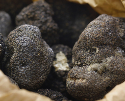 Collected truffles in a paper bag