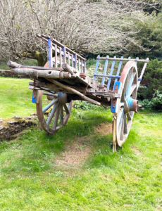 Antique wagon before painting Old hay wagon before repainting