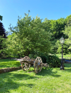 Beautiful antique hay wagon being restored