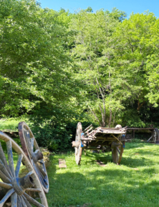 Antique waggon and wheels in the Dordogne countryside