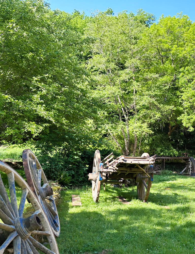 Various pieces of antique wagon Antique waggon and wheels in the Dordogne countryside