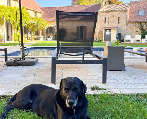 Bonnie by the pool Black Labrador sitting by the pool in France