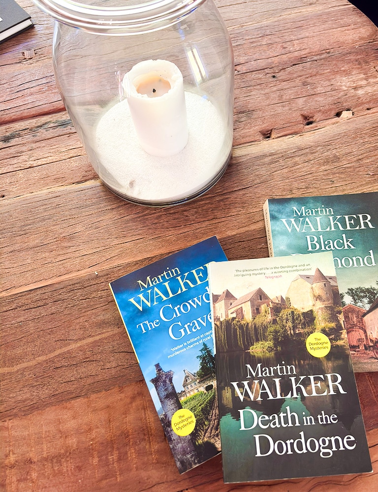 Reading by the pool Selection of holiday reading books on a table